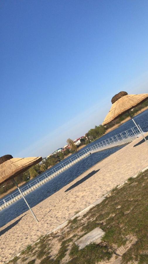 Camping Oaza Blonie Kornik Domki Standard - 3 Pokoje מראה חיצוני תמונה