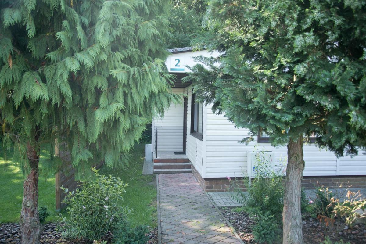 Camping Oaza Blonie Kornik Domki Standard - 3 Pokoje מראה חיצוני תמונה