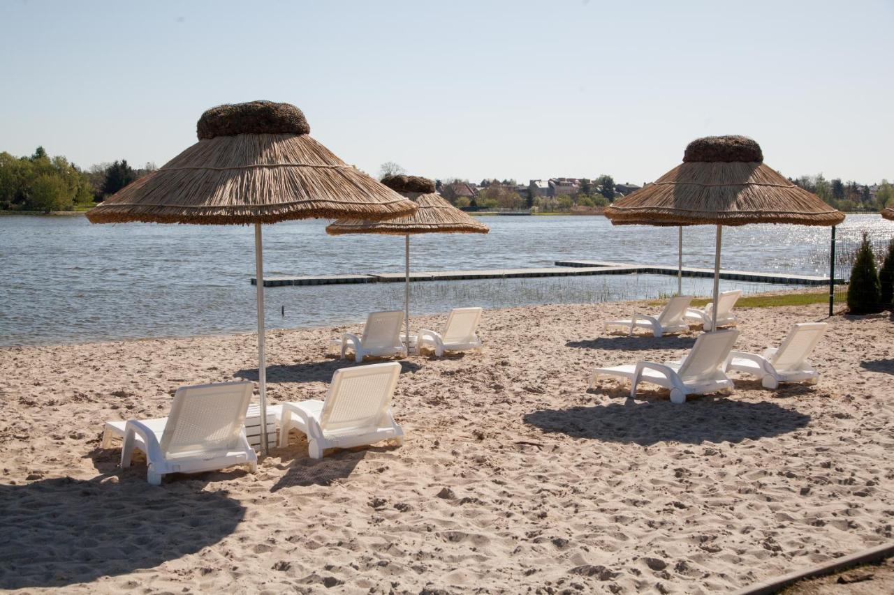 Camping Oaza Blonie Kornik Domki Standard - 3 Pokoje מראה חיצוני תמונה